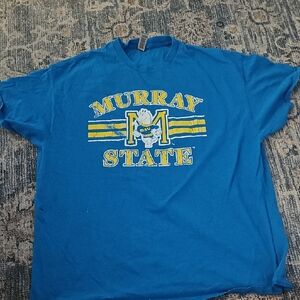 Gildan Blue Heavy Cotton T-Shirt